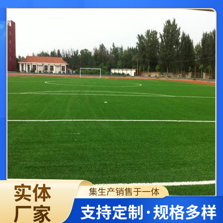 三亚市篮球场硅PU人造草坪 - 一站式服务